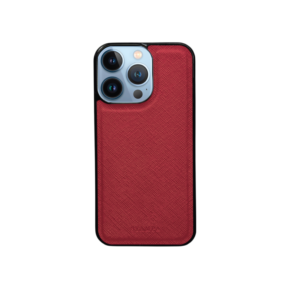 iPhone 13 Pro Zebra